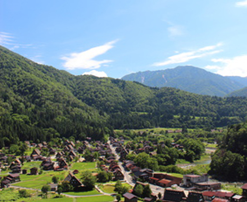 マイ不動産、会社概要